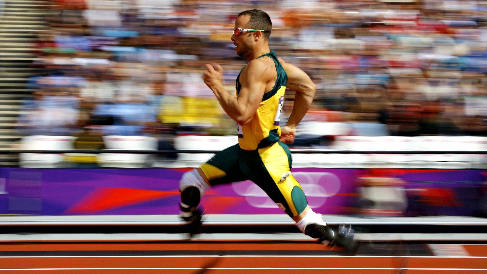 冠军球队球员退役典礼温馨感人球迷纷纷致敬,球员退役说的话