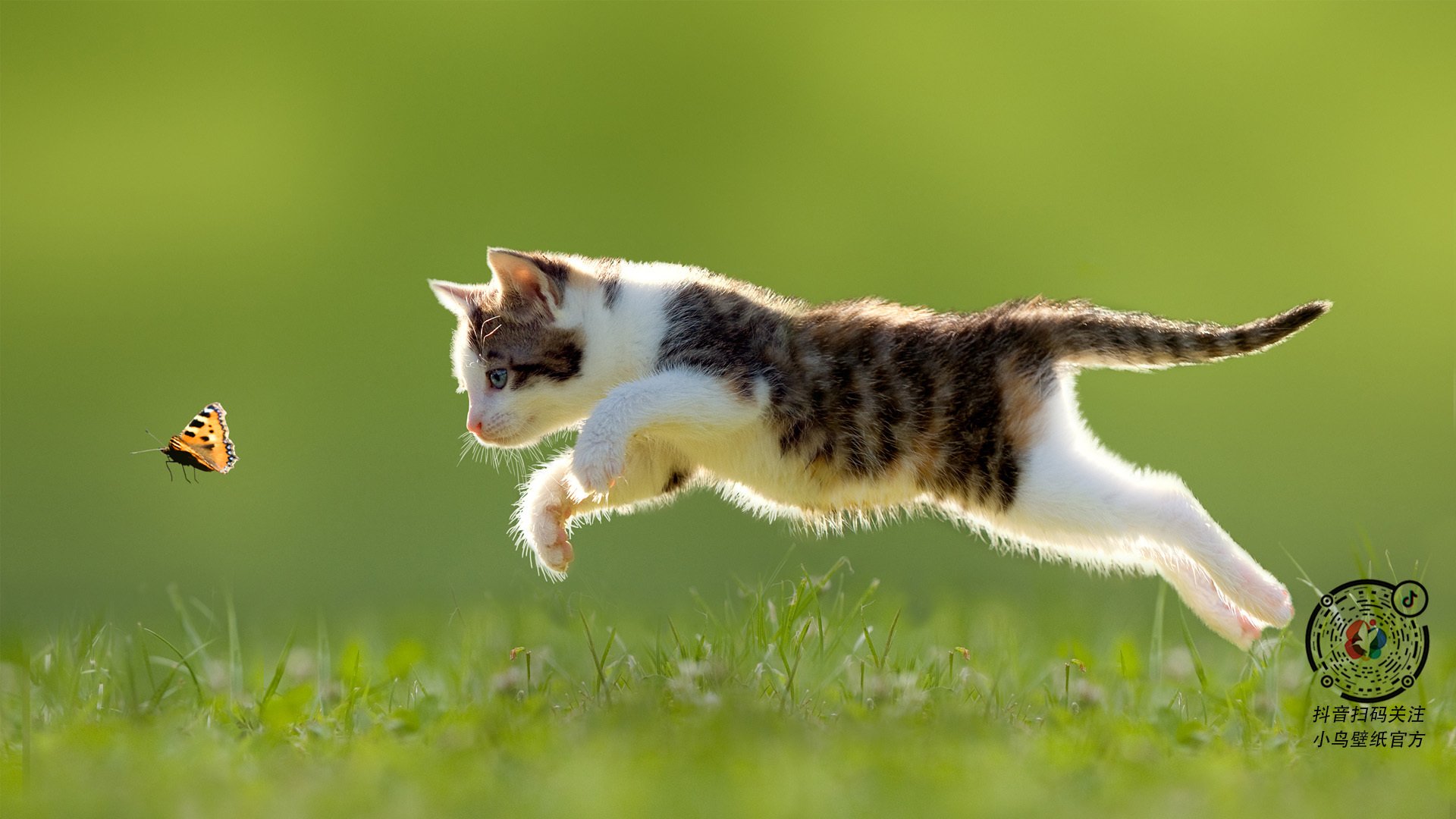 开云·体育官方网站入口-体育总局发布最新竞赛调整方案,体育总局发布最新竞赛调整方案文件