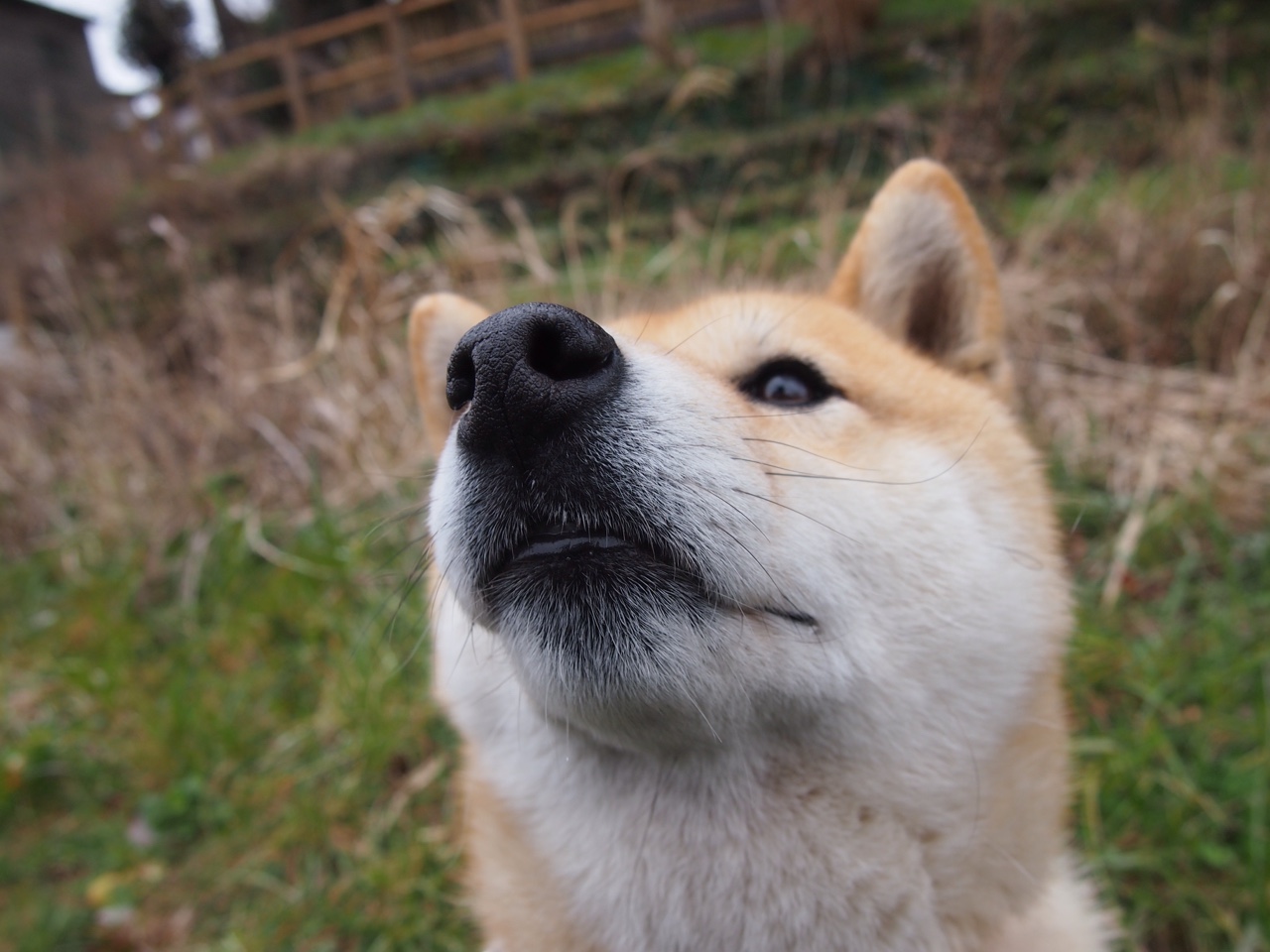 开云体育入口-青少年棒球联赛拓展至西部地区,2021年青少年棒球比赛计划