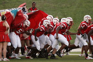 开云真人体育娱乐-76人球队文化墙正式揭幕展示历史荣誉，76人队图案